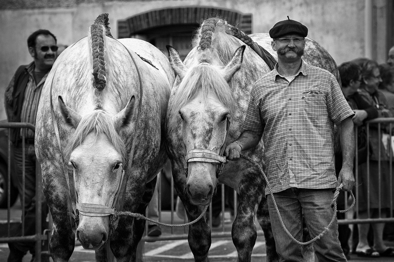 Horse Power EQ Assessements